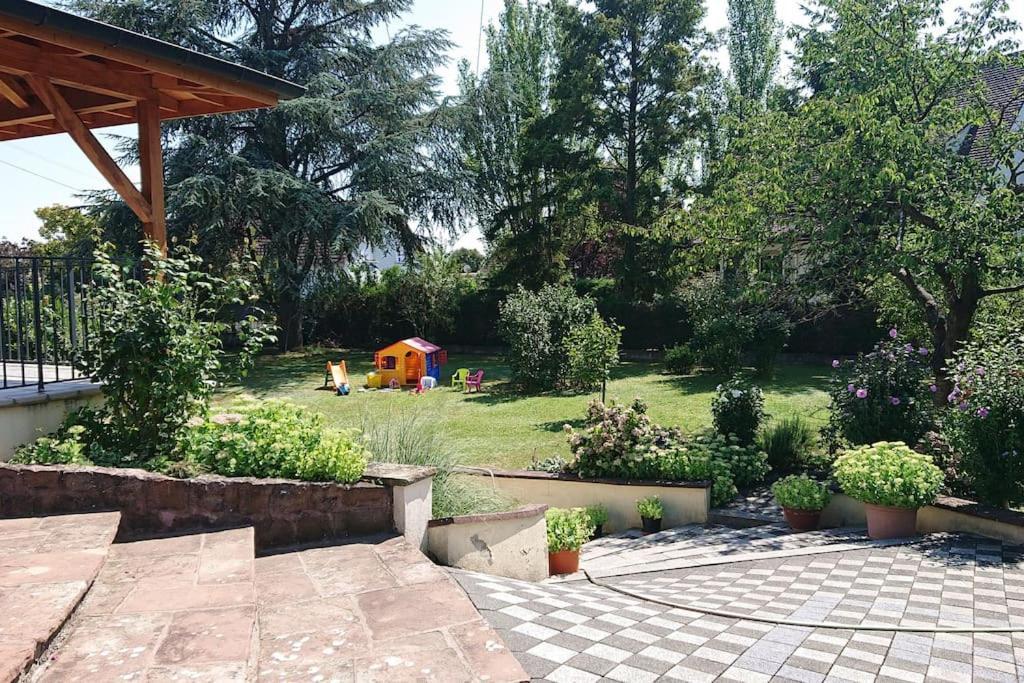 Logement Entier: Route Des Vins.Wintzenheim Apartment Екстериор снимка