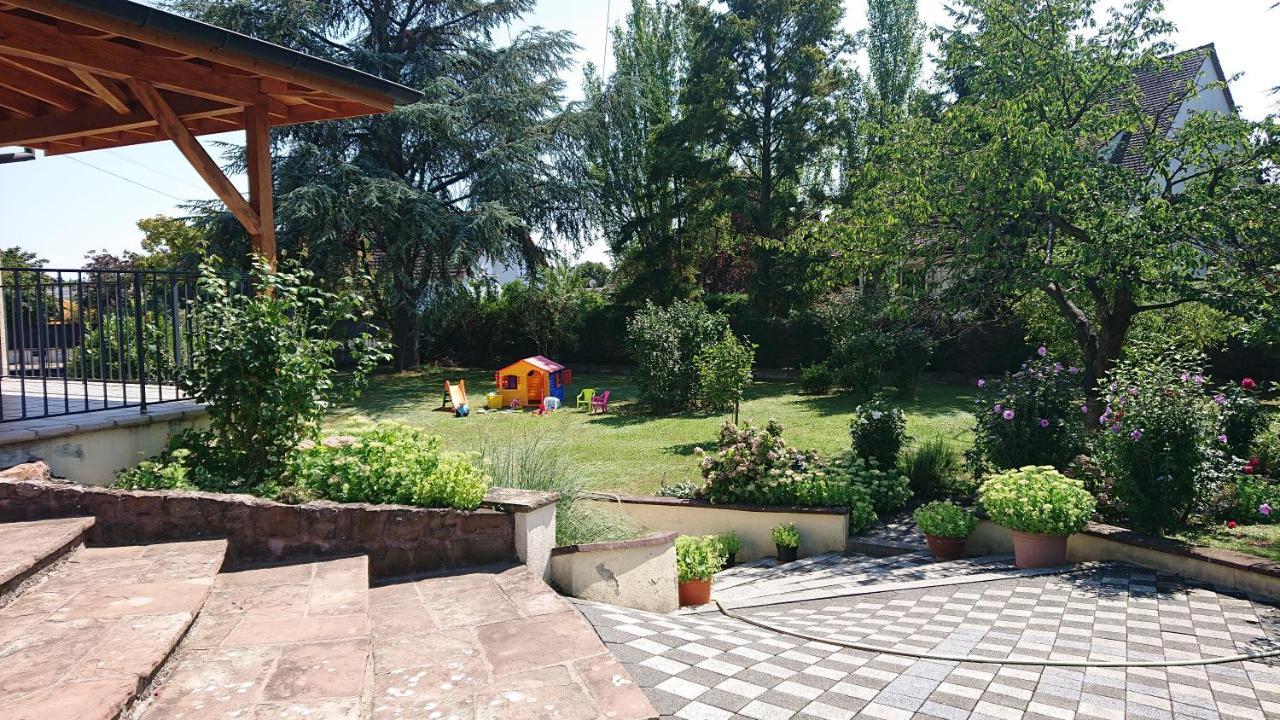 Logement Entier: Route Des Vins.Wintzenheim Apartment Екстериор снимка