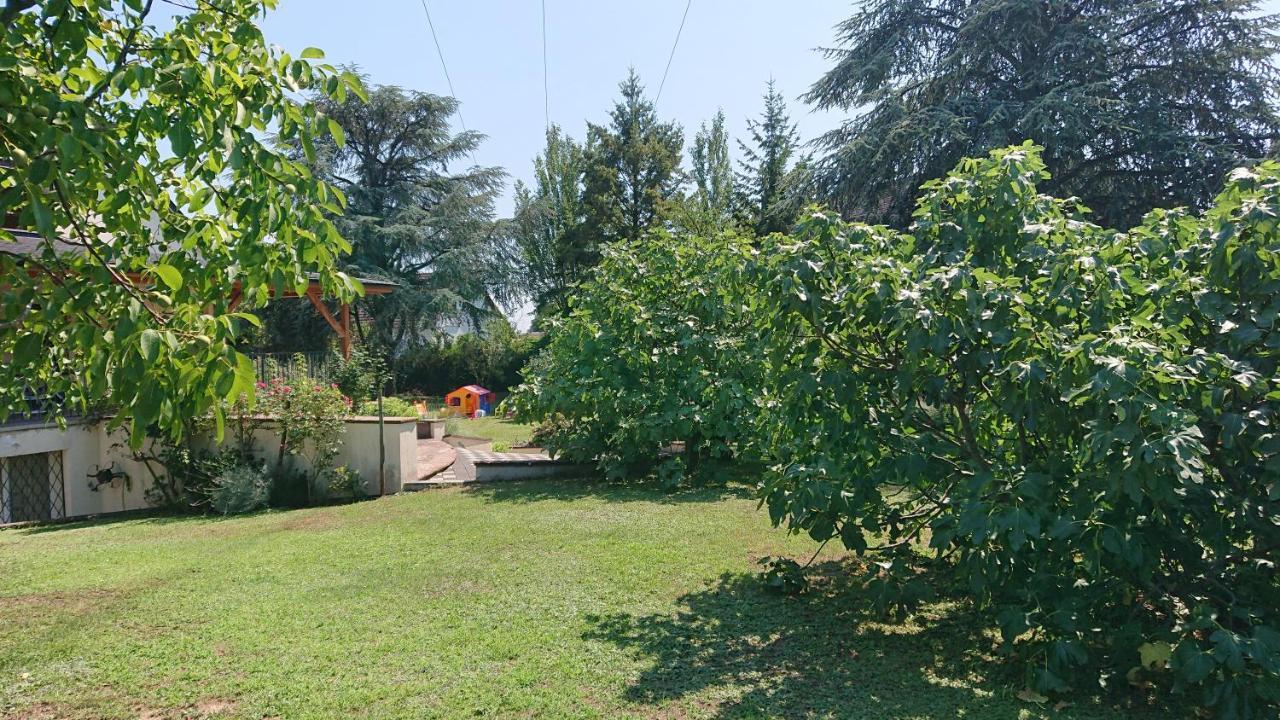 Logement Entier: Route Des Vins.Wintzenheim Apartment Екстериор снимка